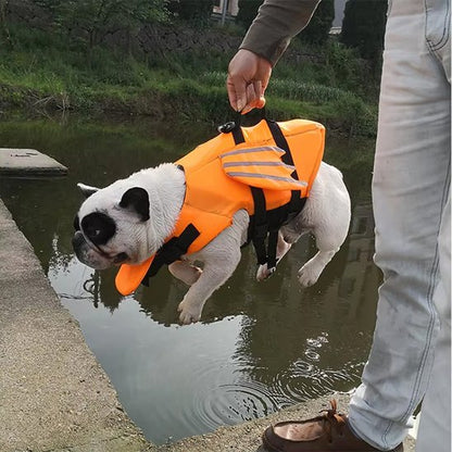 Gilet de sauvetage chien | UltraFlottant