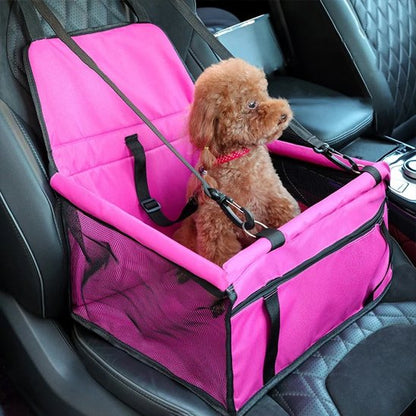 Siege auto pour chien | Sécuritravel