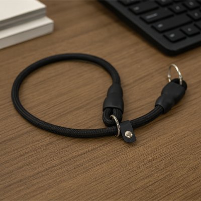 Collier pour chien | Robuste & Élégant