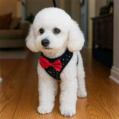 Harnais petit chien | Comfort Plus
