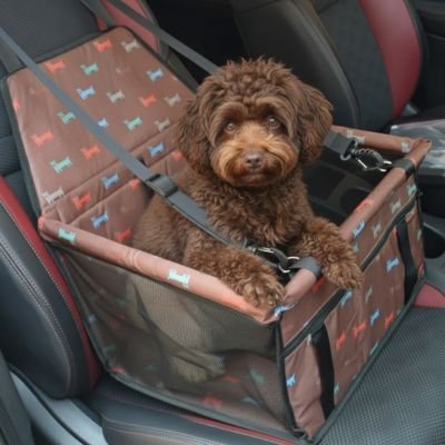 Siege auto pour chien | Sécur'Confort