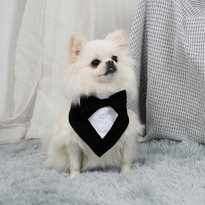Bandana Chien | Nœud Papillon Élégant