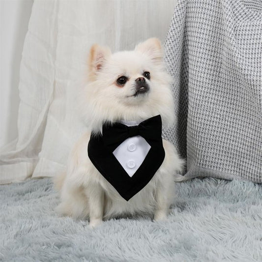 Bandana Chien | Nœud Papillon Élégant