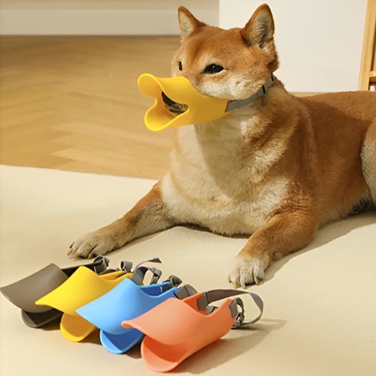 Muselière chien | Canard Silicone
