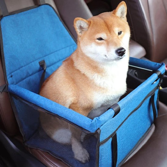 Siege auto pour chien | Sécuritravel