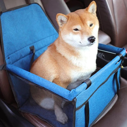 Siege auto pour chien | Sécuritravel