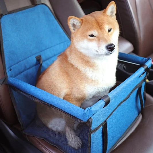 Siege auto pour chien | Sécuritravel