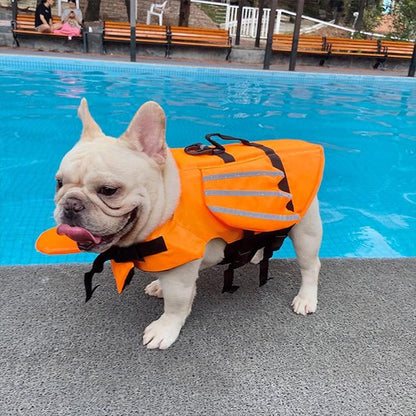 Gilet de sauvetage chien | UltraFlottant