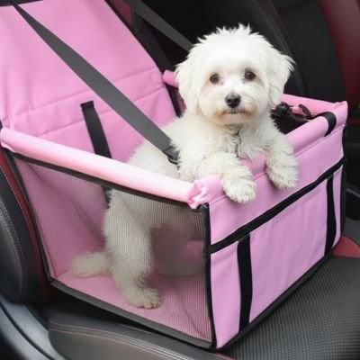 Siege auto pour chien | Sécur'Confort