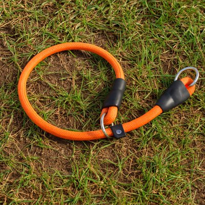Collier pour chien | Robuste & Élégant
