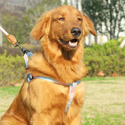 Harnais pour chien | DUO RobuConfort