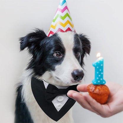 Bandana Chien | Nœud Papillon Élégant
