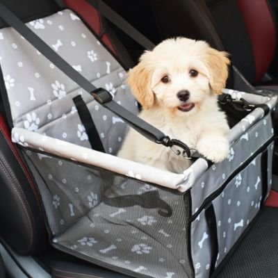 Siege auto pour chien | Sécur'Confort