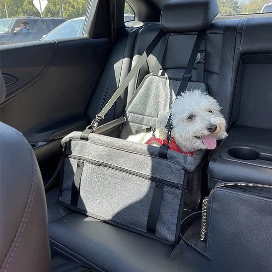 Siege auto pour chien | Sécuritravel