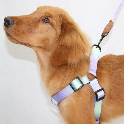 Harnais pour chien | DUO RobuConfort