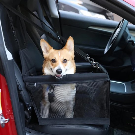 Siege auto pour chien | Sécuritravel
