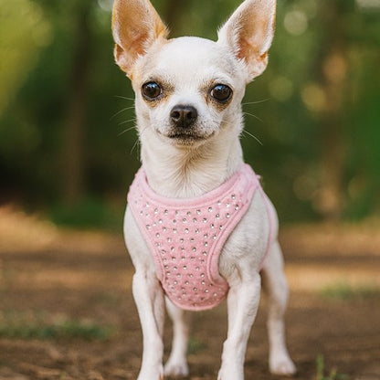 Harnais petit chien | Comfort Plus
