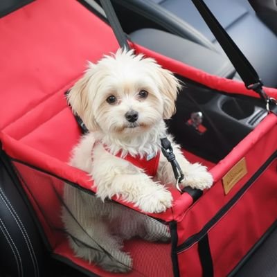 Siege auto pour chien | Sécur'Confort