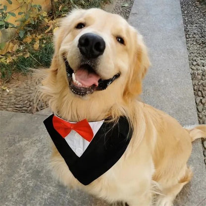 Bandana Chien | Nœud Papillon Élégant