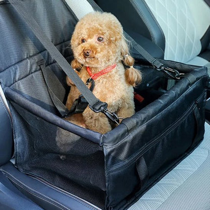 Siege auto pour chien | Sécuritravel