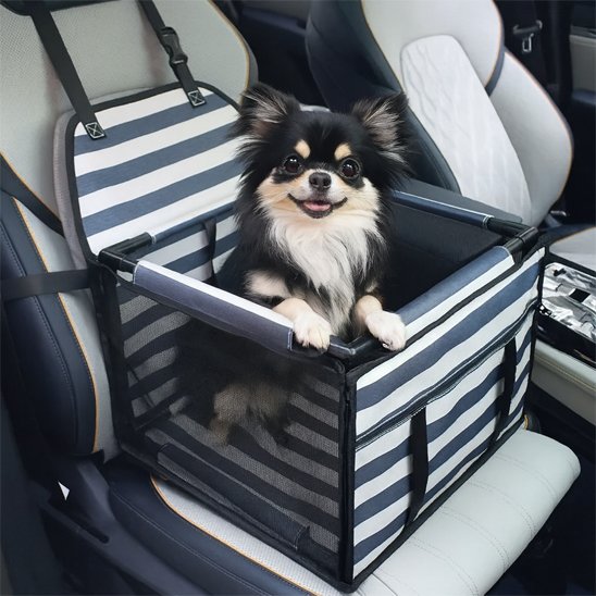 Siège Auto Sécurisé pour Chien | PetTravel