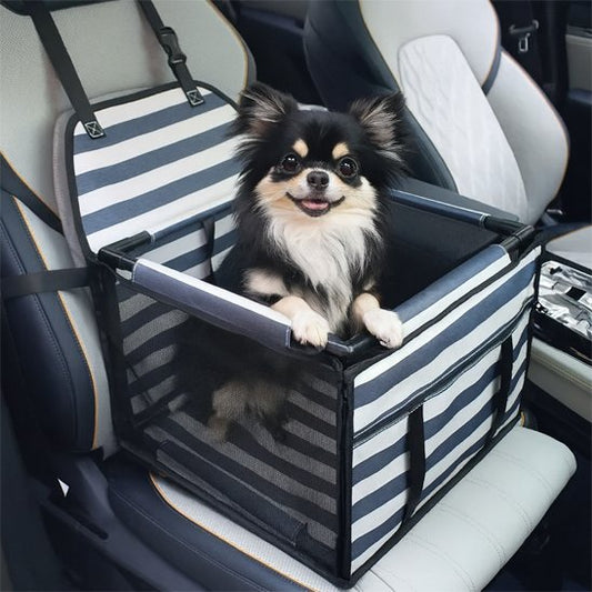 Siège Auto Sécurisé pour Chien | PetTravel