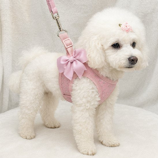 Harnais petit chien | Comfort Plus