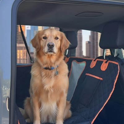 Protection chien voiture | Premium - Le Chihuahua Voyageur