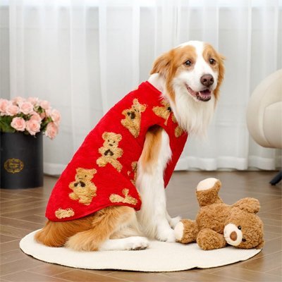 Pull pour Chien | ChaudCozy - Le Chihuahua Voyageur