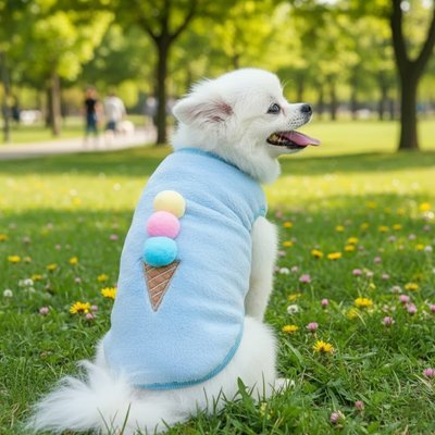 Pull pour chien | Confort Hivernal - Le Chihuahua Voyageur