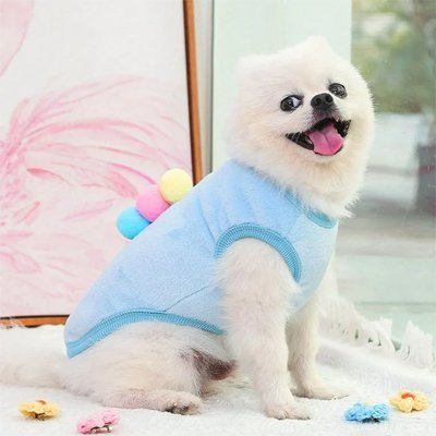 Pull pour chien | Confort Hivernal - Le Chihuahua Voyageur