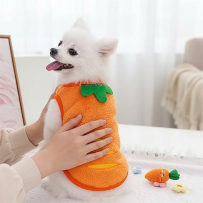 Pull pour chien | Confort Premium - Le Chihuahua Voyageur