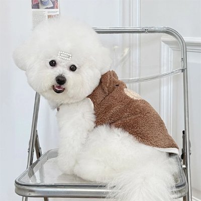 Pull pour Chien | Cosy & Tendance - Le Chihuahua Voyageur