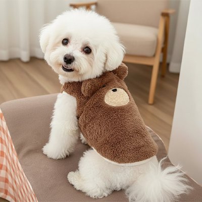 Pull pour Chien | Cosy & Tendance - Le Chihuahua Voyageur