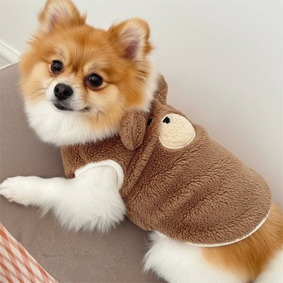 Pull pour Chien | Cosy & Tendance - Le Chihuahua Voyageur