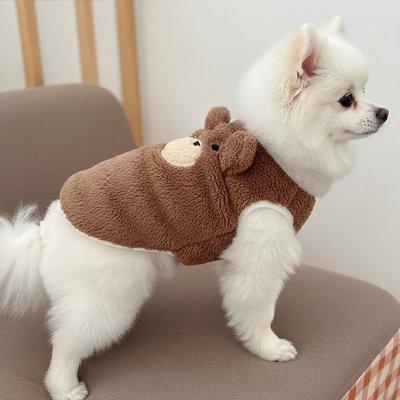 Pull pour Chien | Cosy & Tendance - Le Chihuahua Voyageur