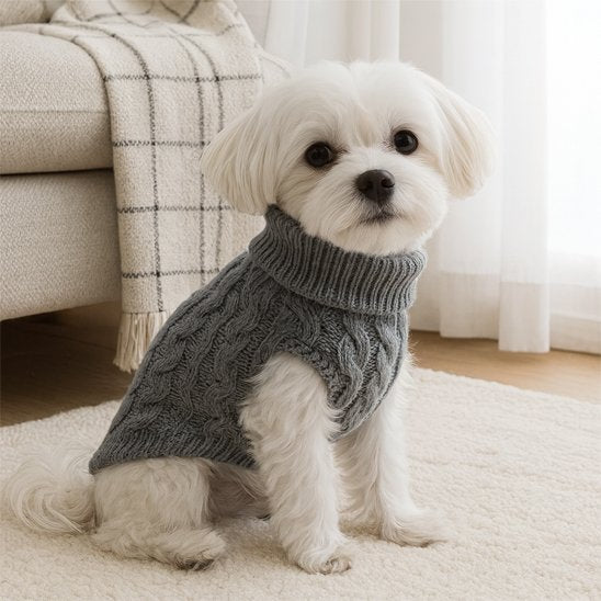 Pull pour chien