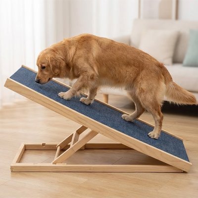 Rampe pour chien | Premium Mobilité Senior - Le Chihuahua Voyageur