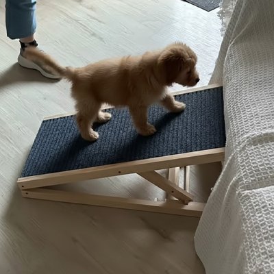 Rampe pour chien | Premium Mobilité Senior - Le Chihuahua Voyageur
