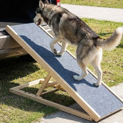Rampe pour chien | Premium Mobilité Senior - Le Chihuahua Voyageur