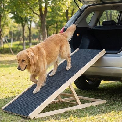 Rampe pour chien | Premium Mobilité Senior - Le Chihuahua Voyageur