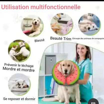Collerette Chien | Confort Plus