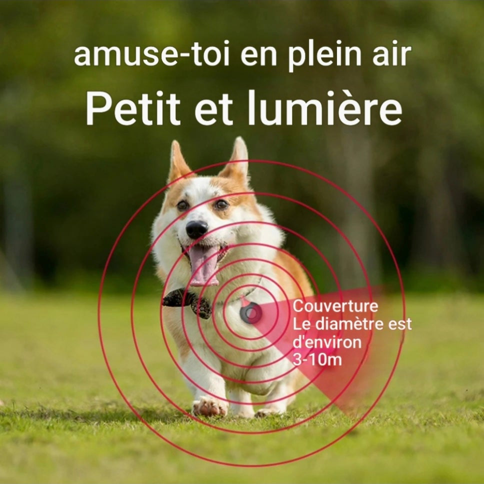Collier anti puce pour chien | Ultrasons Rechargeable