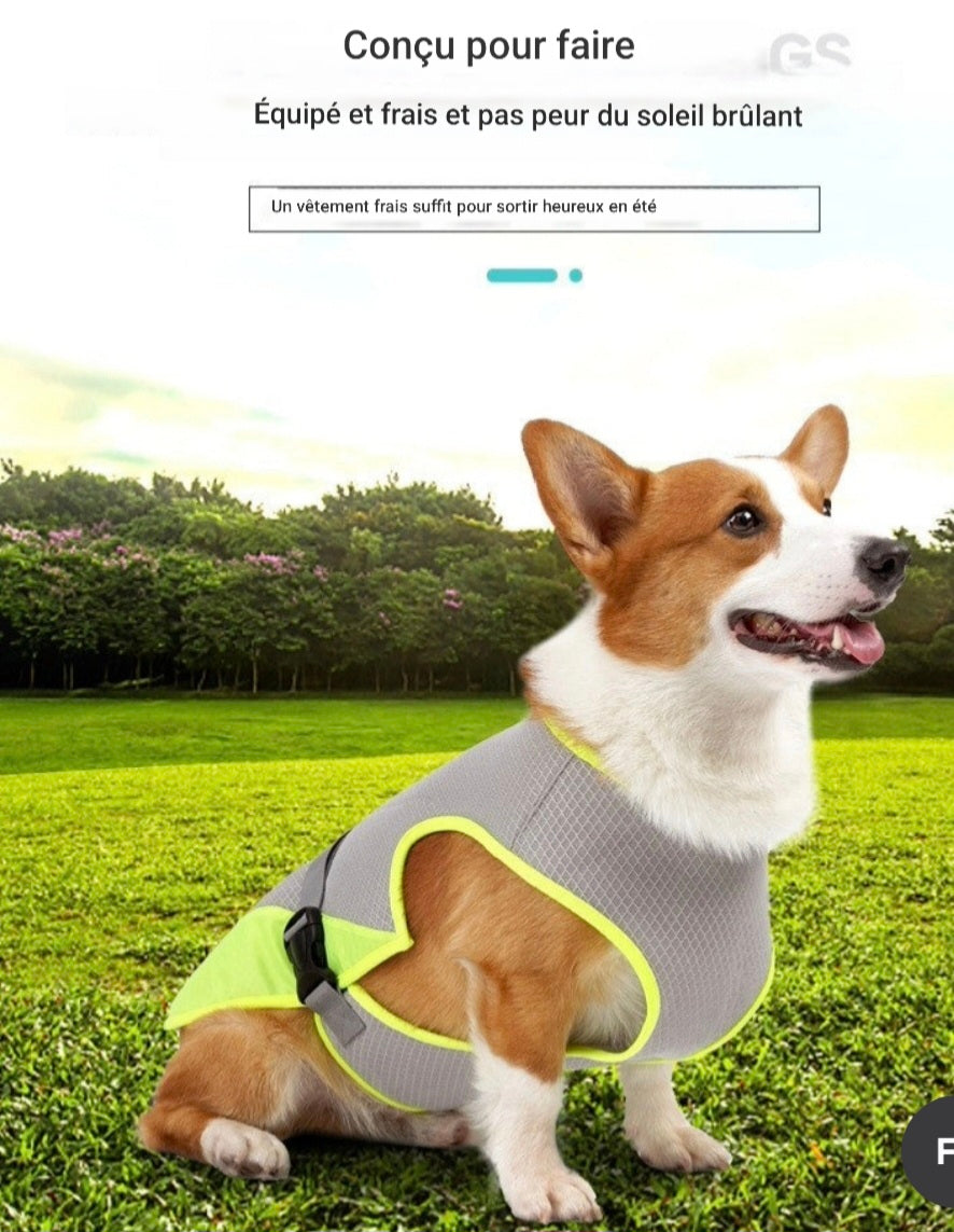 Gilet rafraichissant chien | Fraîcheur Durable