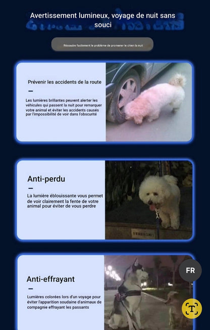 chaussure chien |  MINI-LED Respirante
