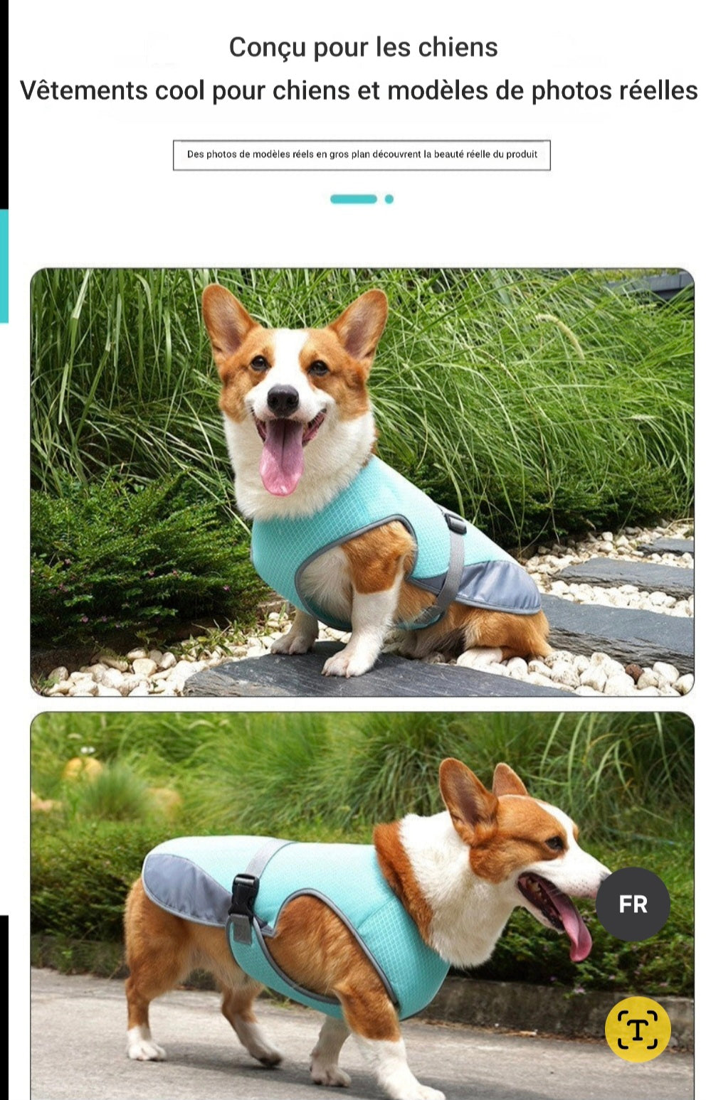 Gilet rafraichissant chien | Fraîcheur Durable