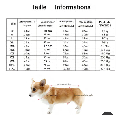 veste chien | Rafraîchissante Anti-UV