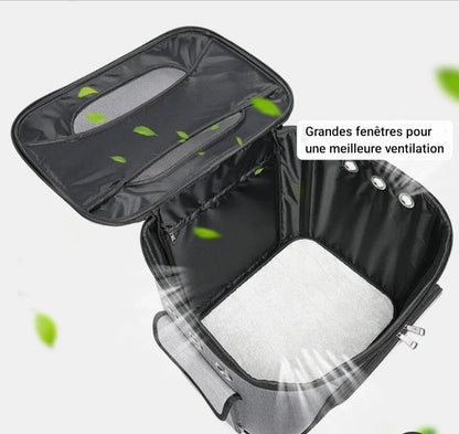 Caisse de transport pour chien- Suitcase Portable Travel