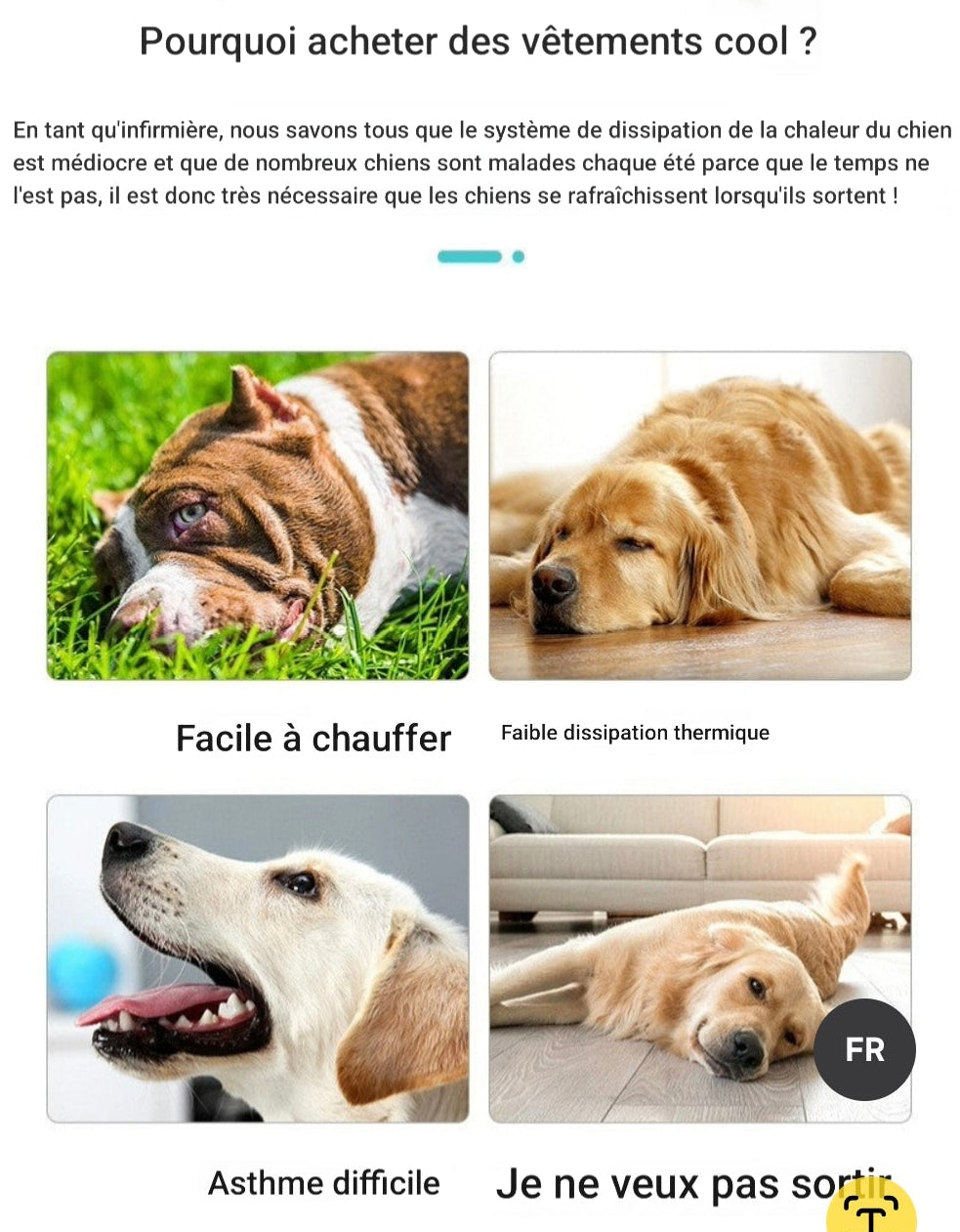 Gilet rafraichissant chien | Fraîcheur Durable
