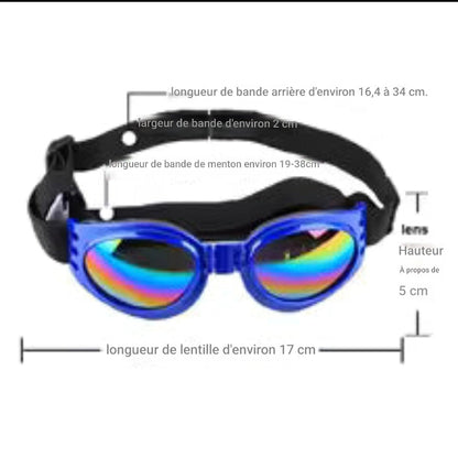 Lunettes pour Chien | Protection UV Stylées